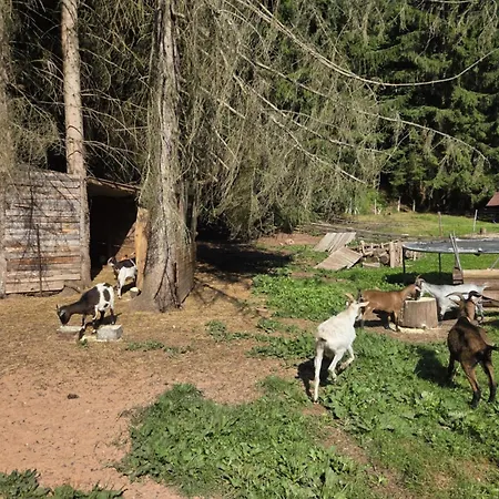 La Parenthese Au Pays Du Soucht