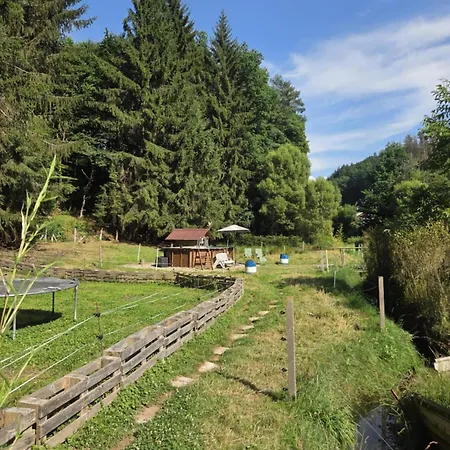 La Parenthese Au Pays Du Daire