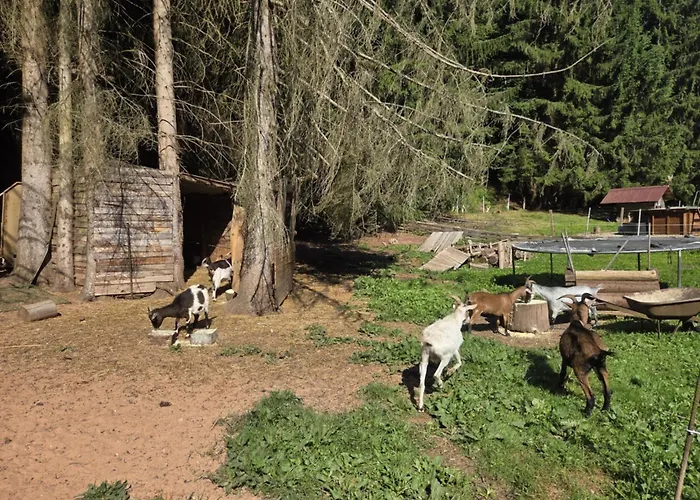La Parenthèse Au Pays Du Soucht