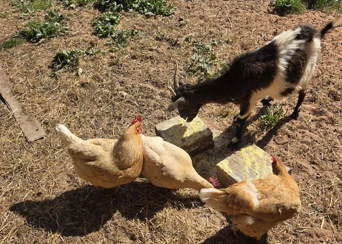 La Parenthèse Au Pays Du Appartamento *